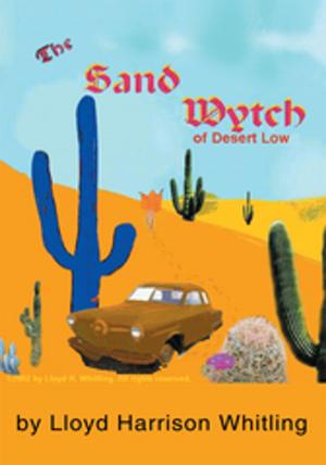 bigCover of the book The Sand Wytch of Desert Low by 