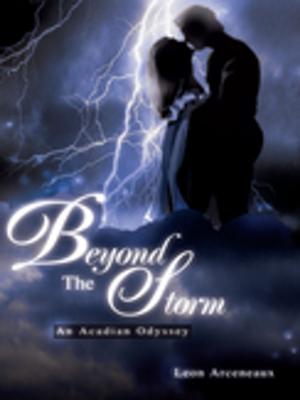 Cover of the book Beyond the Storm by AE Kendall