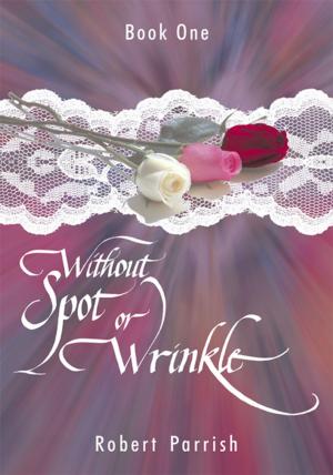bigCover of the book Without Spot or Wrinkle by 