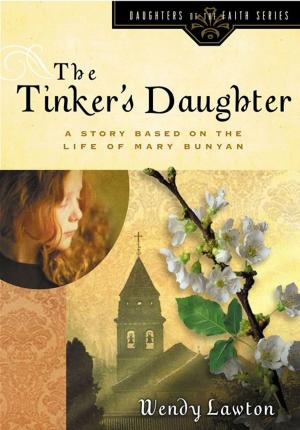 bigCover of the book The Tinker's Daughter by 