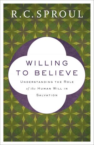 Book cover of Willing to Believe