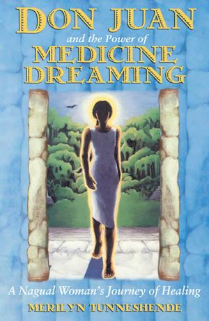 Cover of the book Don Juan and the Power of Medicine Dreaming by Emanuel Swedenborg