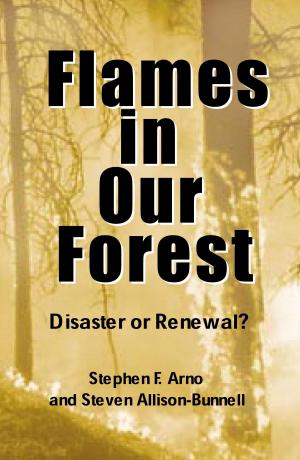 Cover of the book Flames in Our Forest by Peter H. Gleick, Pacific Institute, Nicholas L. Cain, Dana Haasz, Christine Henges-Jeck, Catherine Hunt