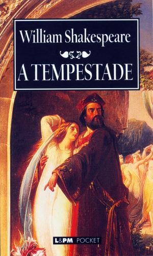 Cover of the book A Tempestade by Martha Medeiros