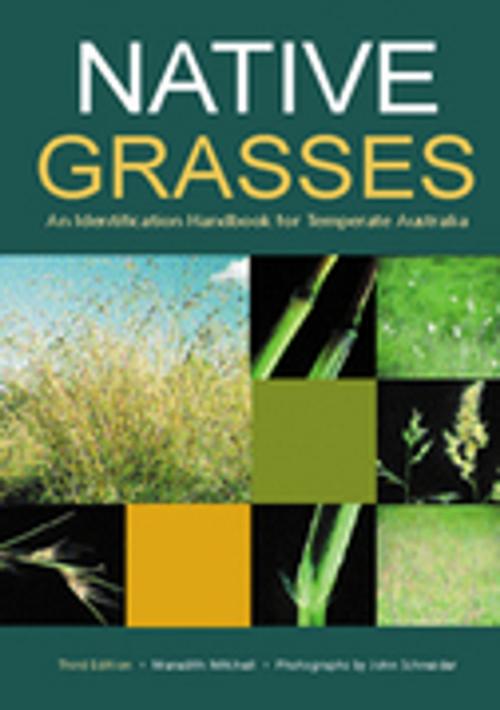 Cover of the book Native Grasses by Meredith Mitchell, Landlinks Press