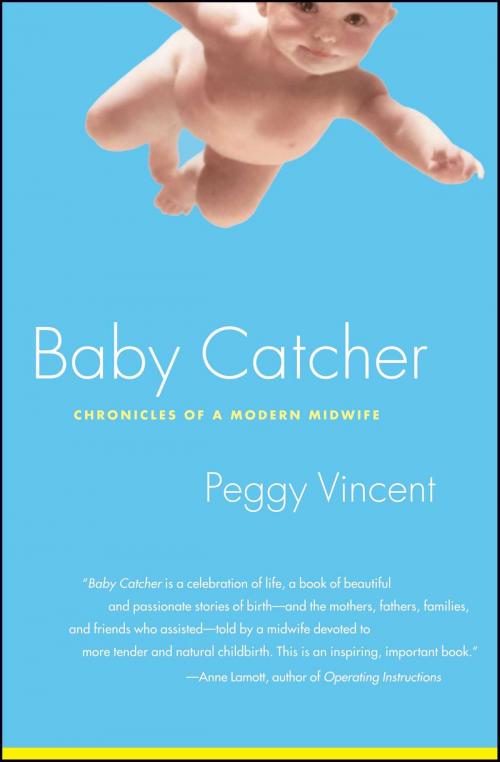 Cover of the book Baby Catcher by Peggy Vincent, Scribner