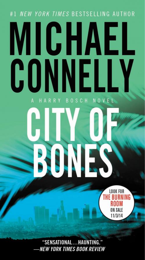 Cover of the book City of Bones by Michael Connelly, Little, Brown and Company