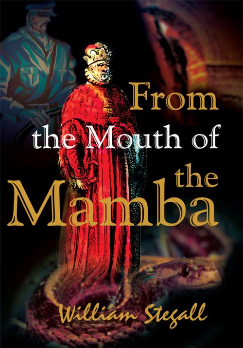 Cover of the book From the Mouth of the Mamba by William Stegall, iUniverse