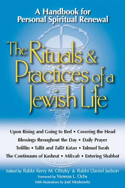 Cover of the book The Rituals & Practices of a Jewish Life: A Handbook for Personal Spiritual Renewal by Rabbi Kerry M. Olitzky, Rabbi Daniel Judson, Jewish Lights Publishing