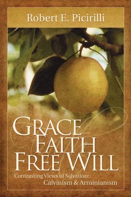 Cover of the book Grace Faith Free Will: Contrasting Views of Salvation: Calvinism & Arminianism by Robert Picirilli, Randall House