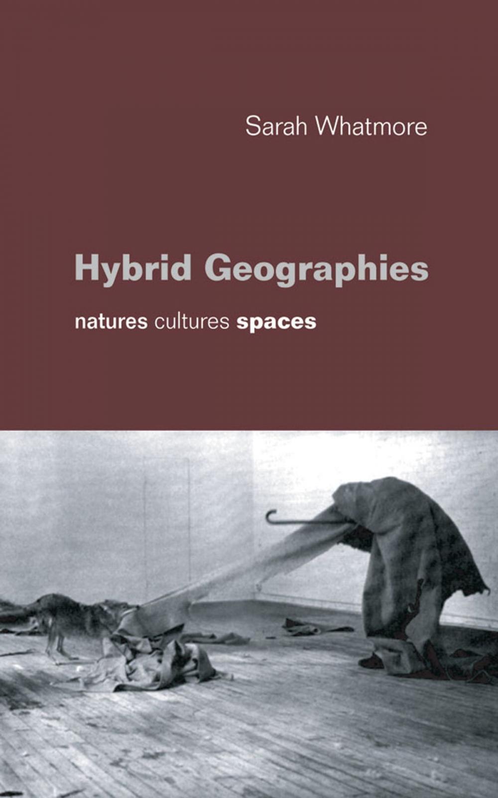 Big bigCover of Hybrid Geographies