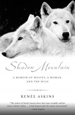 Cover of the book Shadow Mountain by James Billington