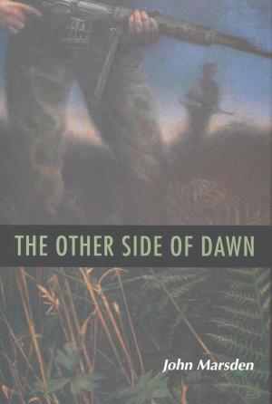 Book cover of The Other Side of Dawn