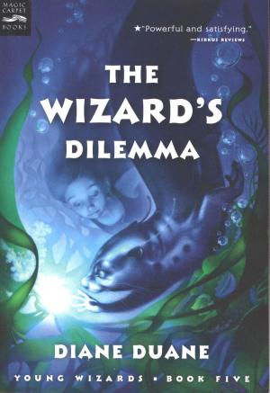 bigCover of the book The Wizard's Dilemma by 