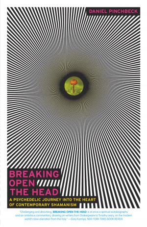 Cover of the book Breaking Open the Head by Liliana Fantini