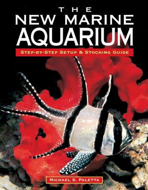 Cover of the book The New Marine Aquarium by Terry Ann Barber