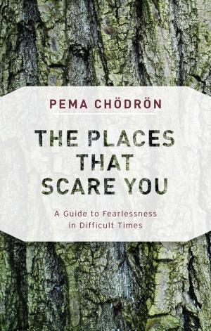 Cover of the book The Places That Scare You by Andrew Harvey