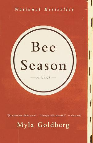 Book cover of Bee Season