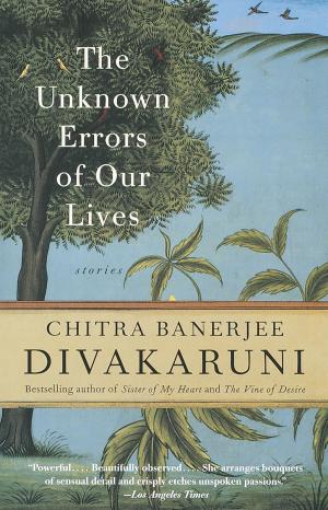 bigCover of the book The Unknown Errors of Our Lives by 