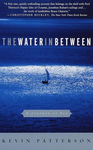bigCover of the book The Water in Between by 