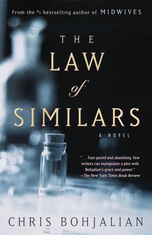 Cover of the book The Law of Similars by Max Tegmark