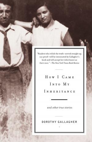 Cover of the book How I Came Into My Inheritance by Don DeLillo