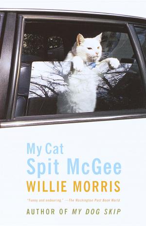 Cover of the book My Cat, Spit McGee by Patricio Pron