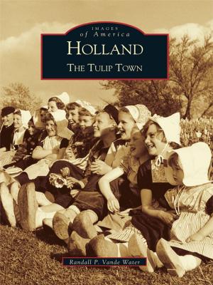 Cover of the book Holland by Judy Carson, Terry McKinney