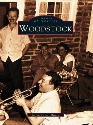 Cover of the book Woodstock by Ben Welter