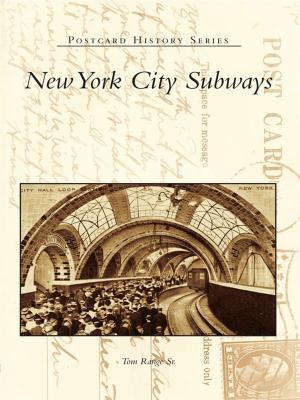 Cover of the book New York City Subways by Jeff Stein