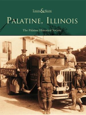 Cover of the book Palatine, Illinois by Patsy Mose Fletcher
