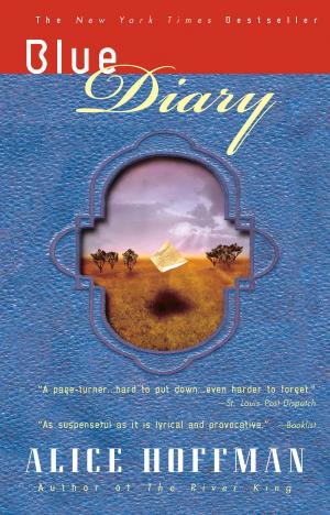 Cover of the book Blue Diary by John Varley