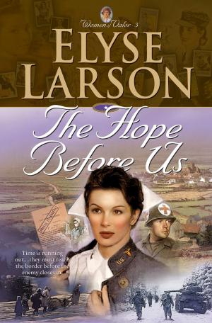 Cover of the book The Hope Before Us (Women of Valor Book #3) by Jean Lush, Pam Vredevelt