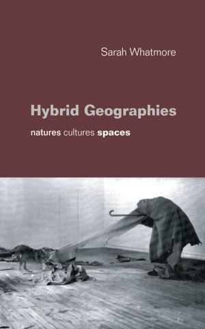 Cover of the book Hybrid Geographies by Savio P Falleiro