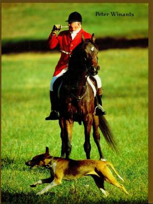 Cover of the book Foxhunting with Melvin Poe by Elena Giulia Montorsi, Federazione italiana sport equestri