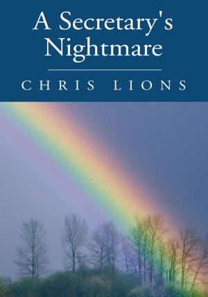 Cover of the book A Secretary's Nightmare by Malikatu Davis