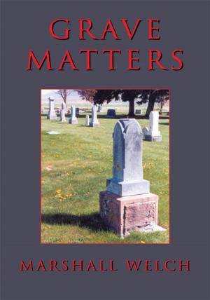 Cover of the book Grave Matters by David Abidaoud