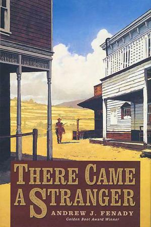 Book cover of There Came A Stranger