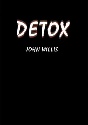Cover of the book Detox by H. John Lyke PH.D.