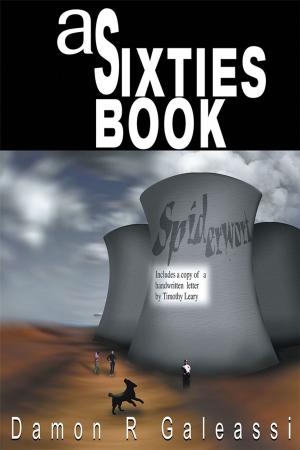 Cover of the book A Sixties Book by Benjamin Fisher-Merritt