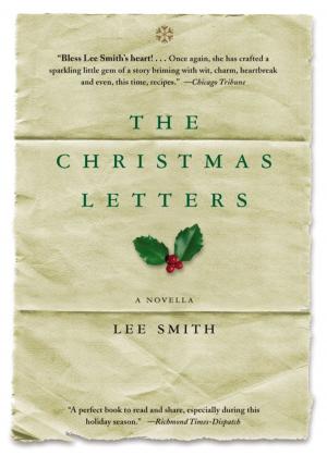Cover of the book The Christmas Letters by William Woys Weaver