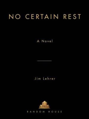 Cover of the book No Certain Rest by Norman Mailer