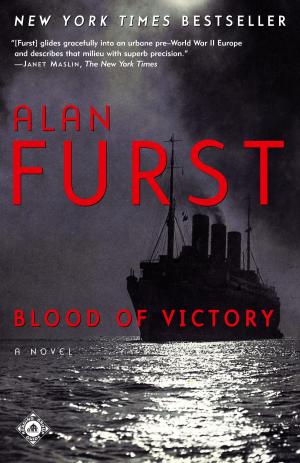 Cover of the book Blood of Victory by J.M. Morris