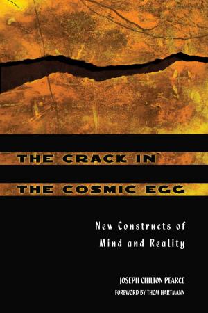 Book cover of The Crack in the Cosmic Egg