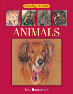 Book cover of Drawing in Color - Animals