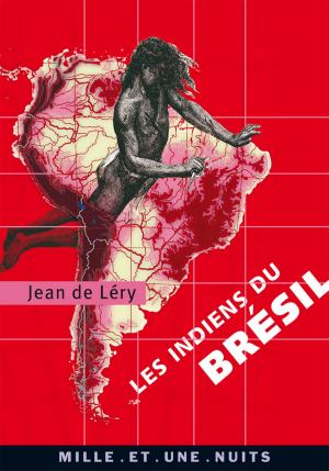 Cover of the book Les Indiens du Brésil by Georges Perec