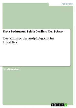 Cover of the book Das Konzept der Antipädagogik im Überblick by Nele Grubelnik