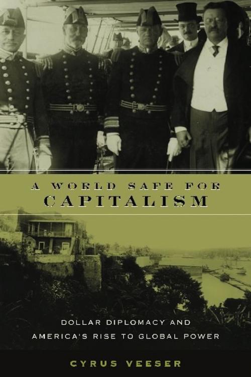 Cover of the book A World Safe for Capitalism by Cyrus Veeser, Columbia University Press