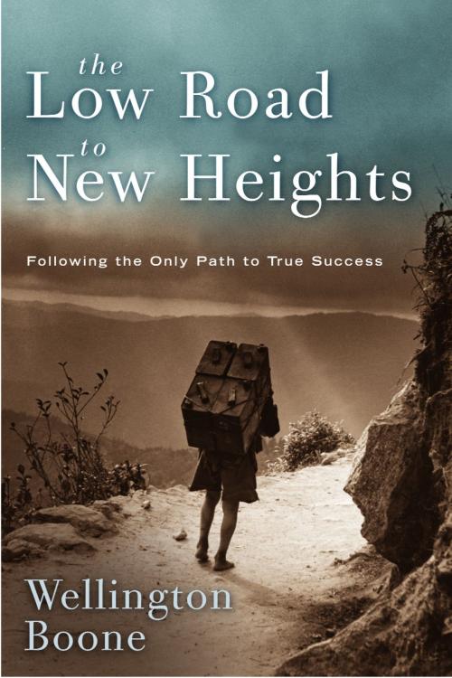 Cover of the book The Low Road to New Heights by Wellington Boone, The Crown Publishing Group