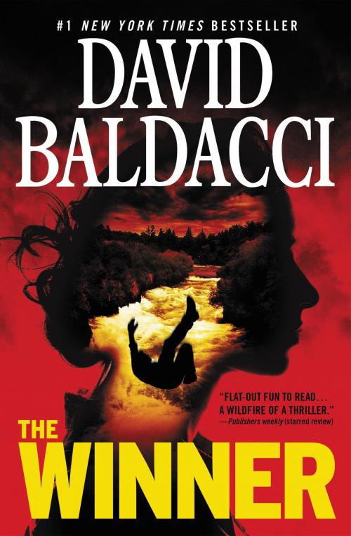Cover of the book The Winner by David Baldacci, Grand Central Publishing